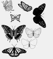 BUTTRFLY.LBM