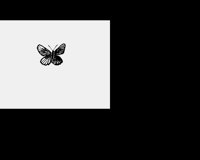 BUTTRFL1.LBM