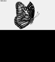 BUTTRF8.LBM