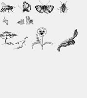 BUGS91.LBM