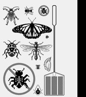 BUGS15.LBM