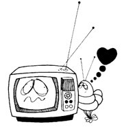TVBUG.LBM