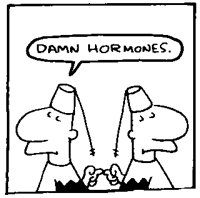 HORMONES.LBM