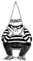 DUNCE.LBM