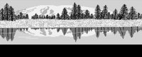 RAINIERL.LBM
