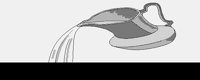 PITCHERL.LBM