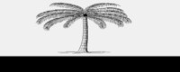 PALMTREE.LBM