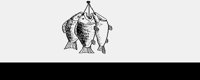 FISHES.LBM