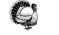 TURKEY4.LBM