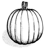 PUMPKIN.LBM