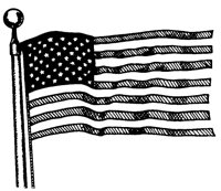 AMERFLAG.LBM