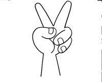 PEACE.LBM
