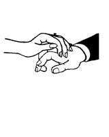 HANDS.LBM