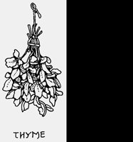 THYME2.LBM