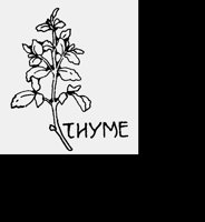 THYME.LBM
