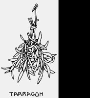 TARRAGON.LBM