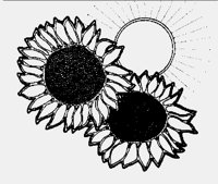 SUNFLWRS.LBM
