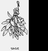 SAGE2.LBM