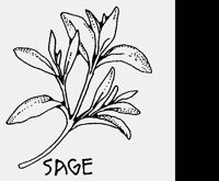 SAGE.LBM