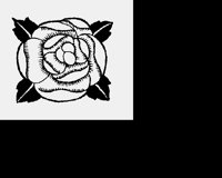 ROSE3.LBM