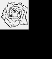 ROSE1.LBM