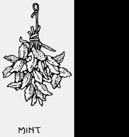 MINT2.LBM