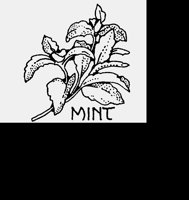 MINT.LBM