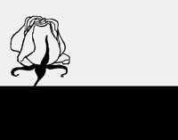 LEAFYEDG.LBM