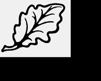 LEAF2.LBM