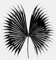 FROND.LBM