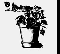 FLW_POT.LBM