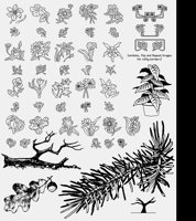 FLWRS32.LBM