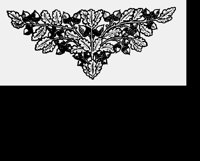 FLWRPTRN.LBM