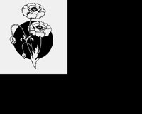 FLOWERS.LBM