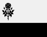 FLOWER1.LBM