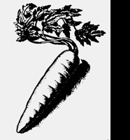 CARROT.LBM