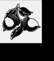 ACORN.LBM