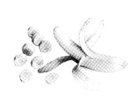 SLCEBANA.LBM