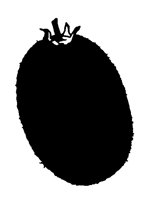 SILKIWI.LBM