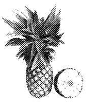 PINAPLHF.LBM