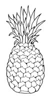 PINAPLE.LBM