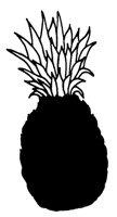 PINAPL.LBM