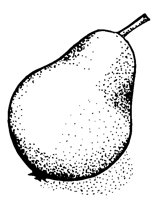PEAR2.LBM
