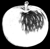 LGAPPLE.LBM