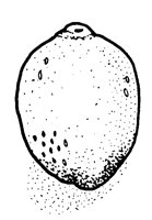LEMON2.LBM