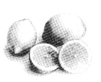 LEMON1.LBM