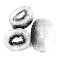 KIWI1.LBM