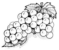 GRAPES3.LBM