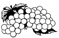 GRAPE4.LBM