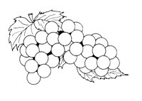 GRAPE3.LBM